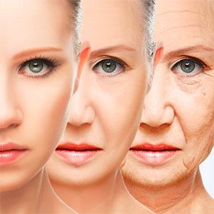 Facial Aesthetics Module